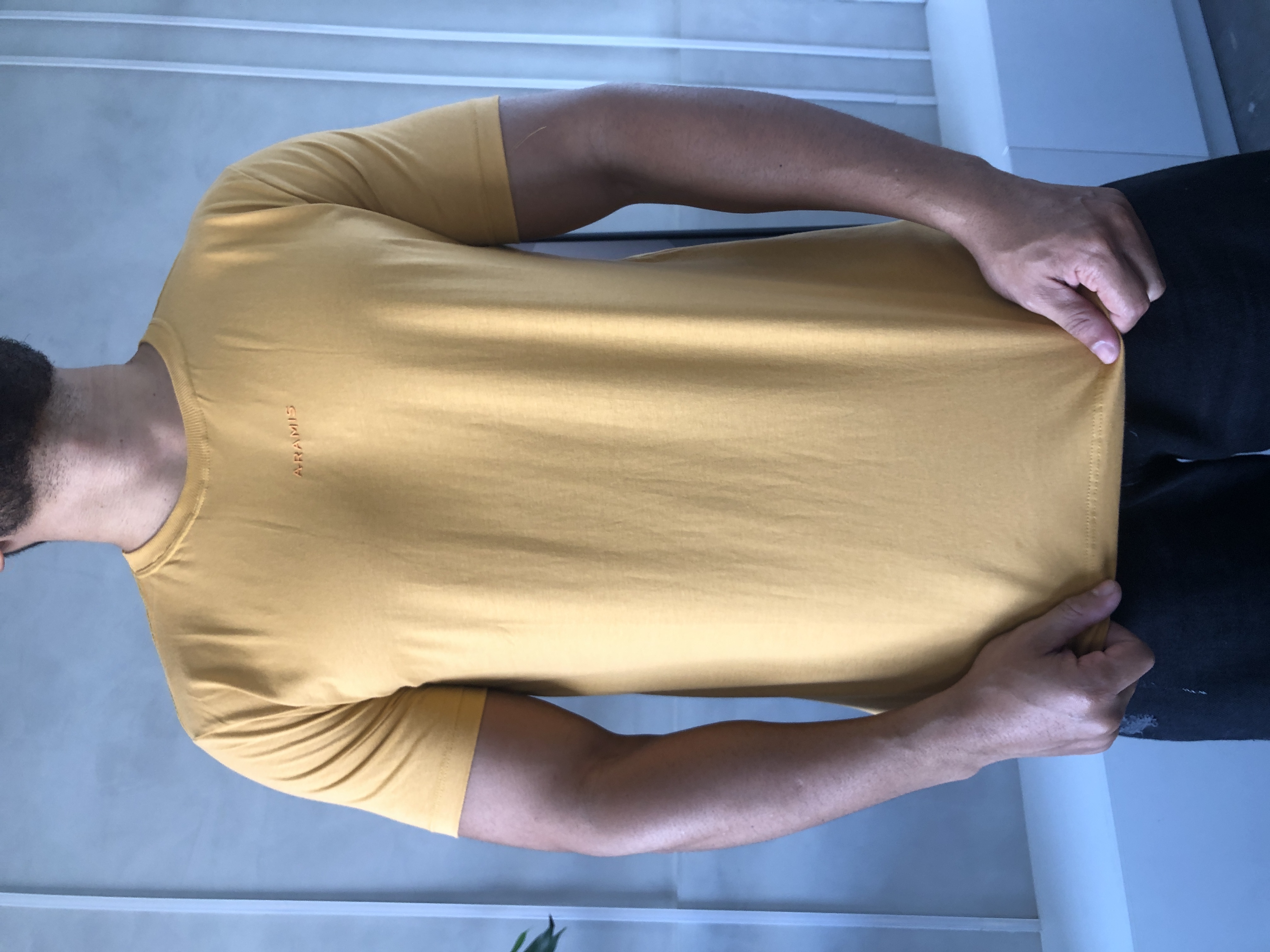 CAMISA PERUANA BÁSICA ARAMIS