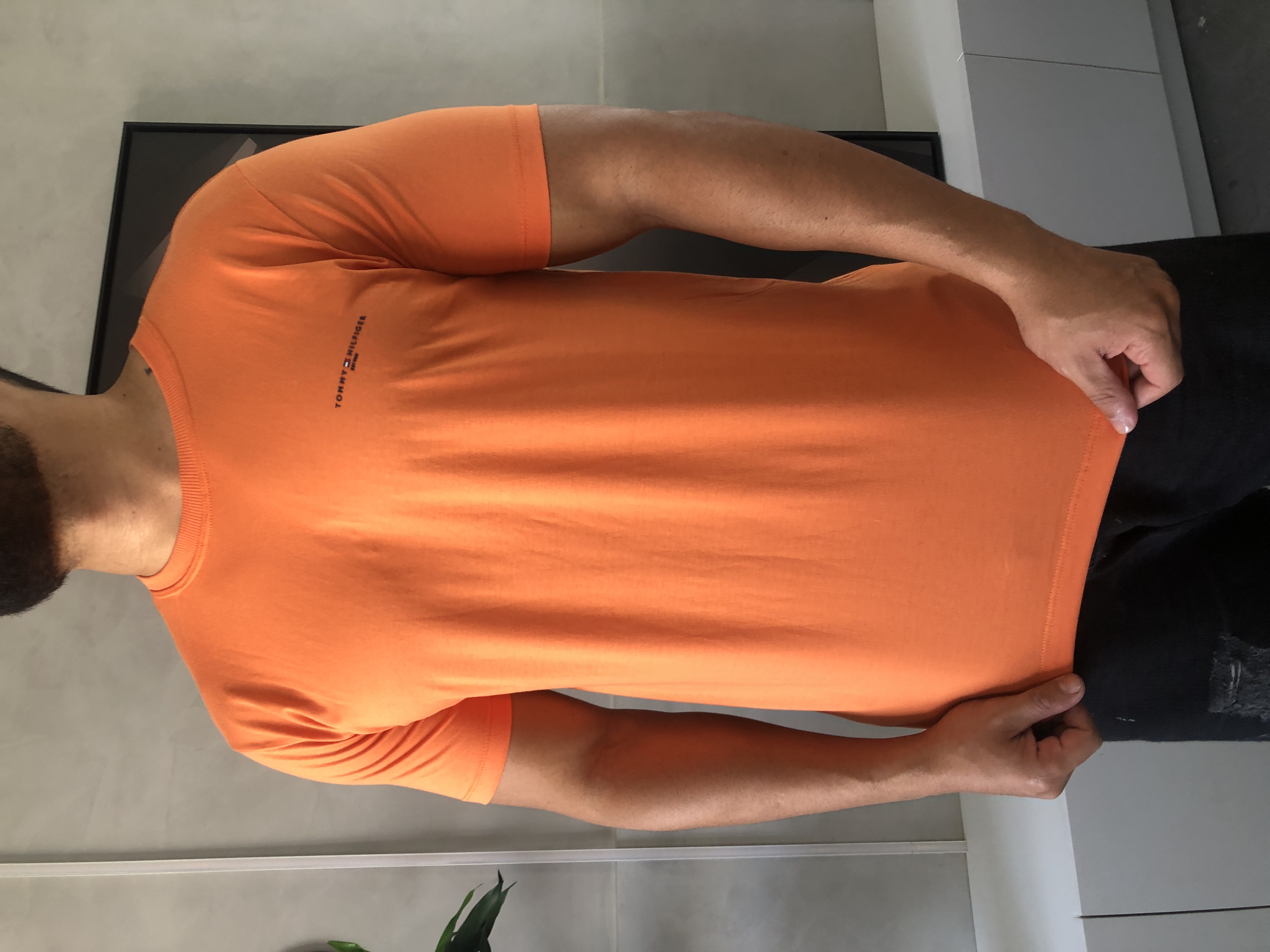 CAMISA PERUANA BÁSICA TOMMY HILFIGER