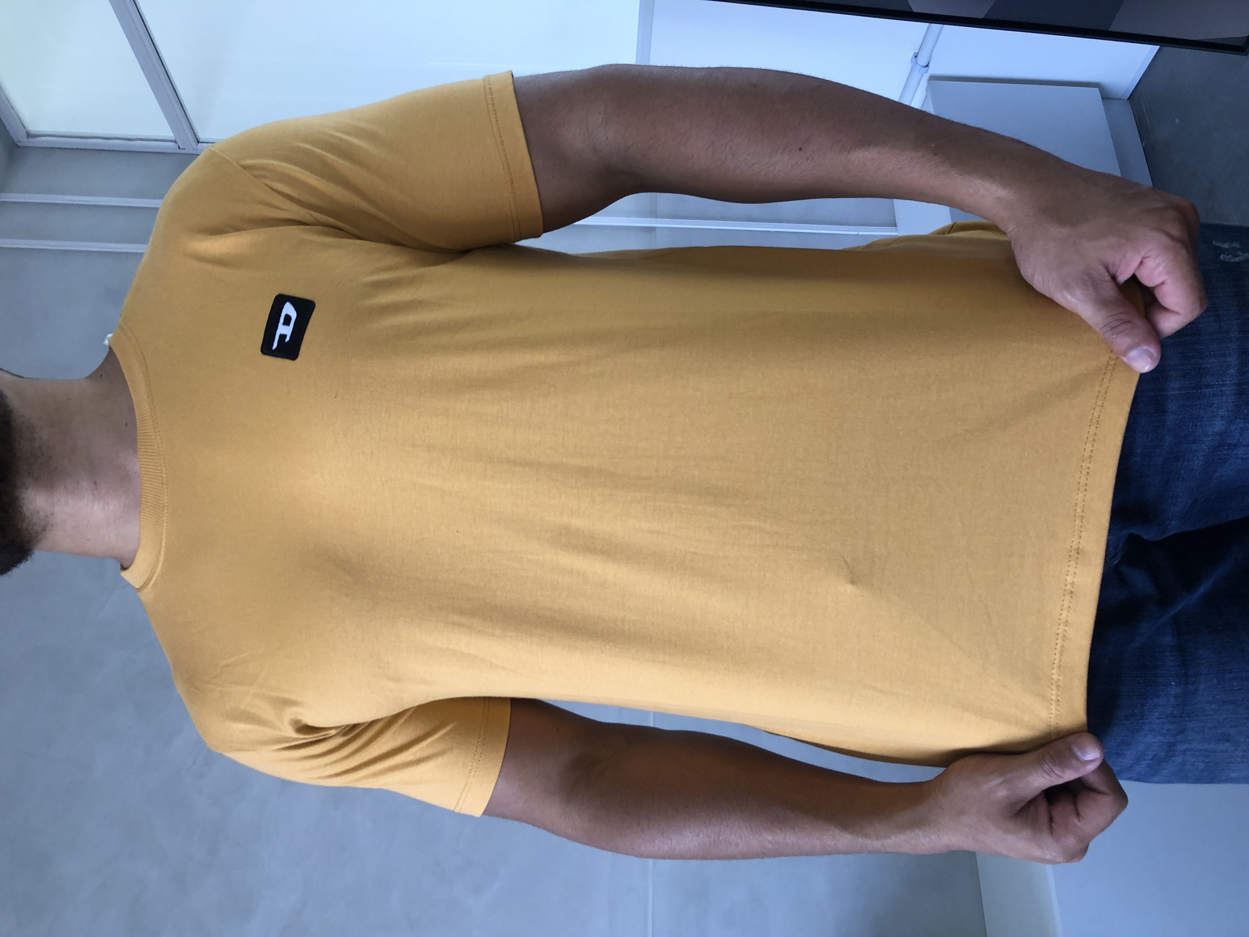 CAMISA PERUANA BÁSICA DIESEL