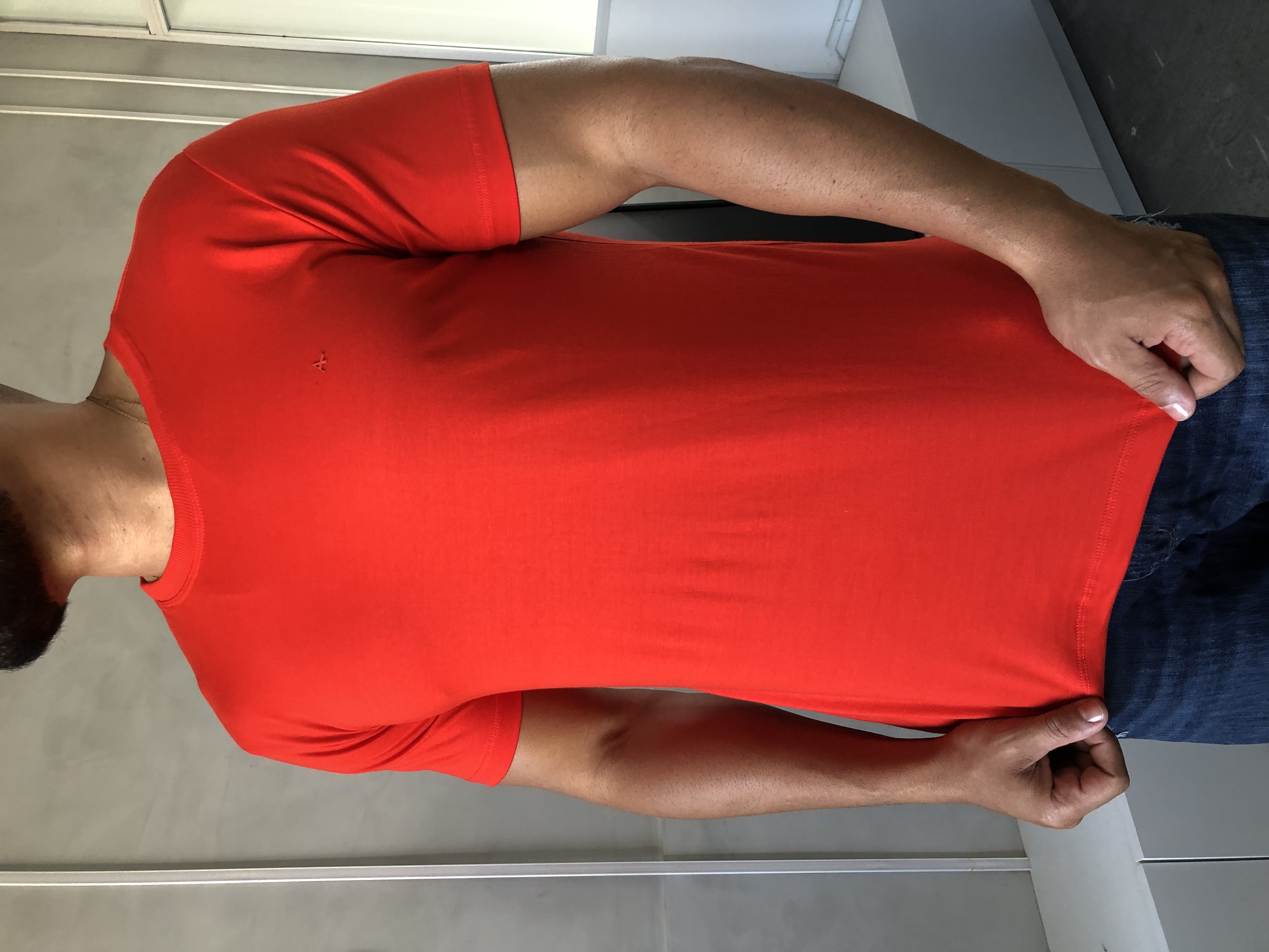 CAMISA PERUANA BÁSICA ARAMIS