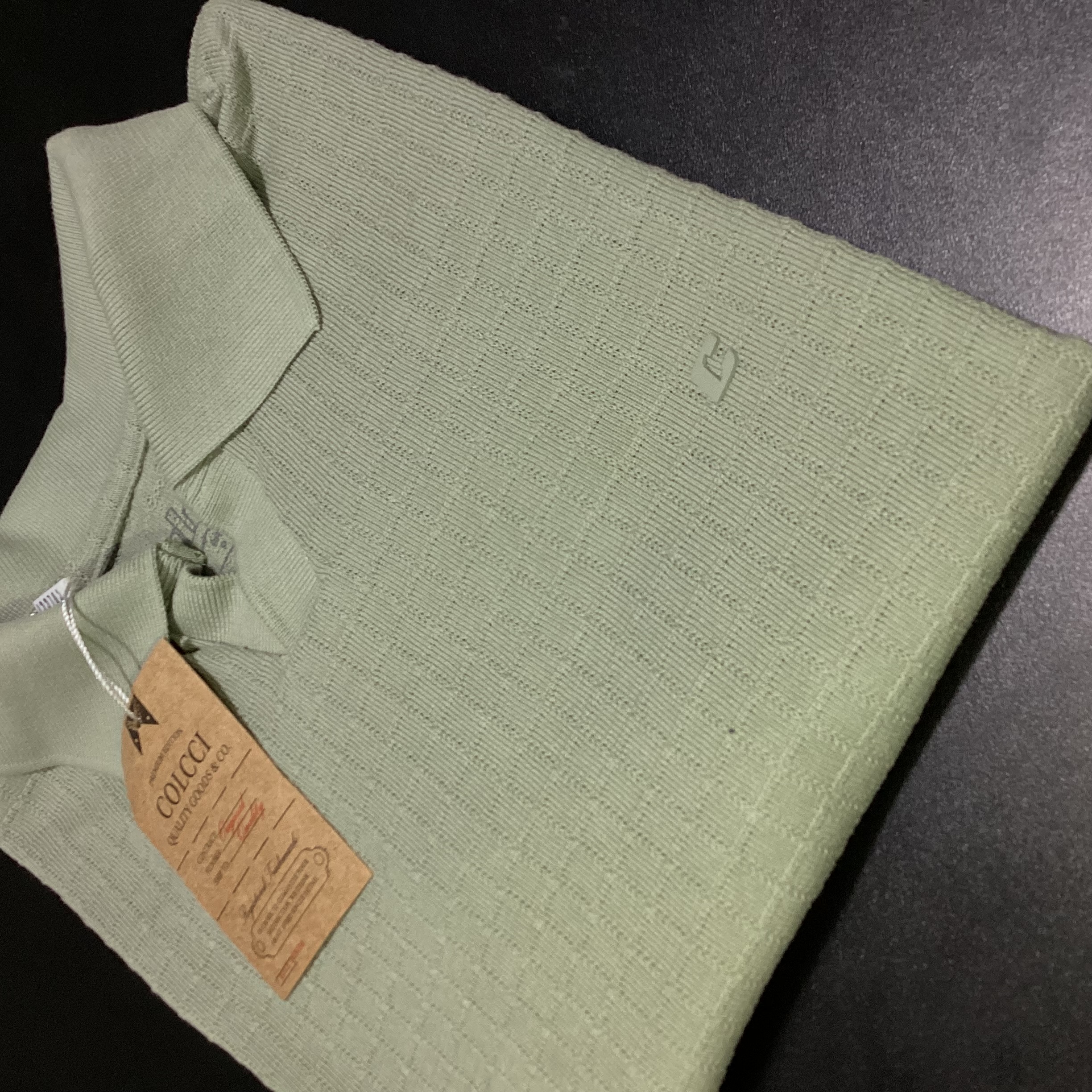 Foto 2 de CAMISA  POLO TEXTURIZADA GOLA V COLCCI