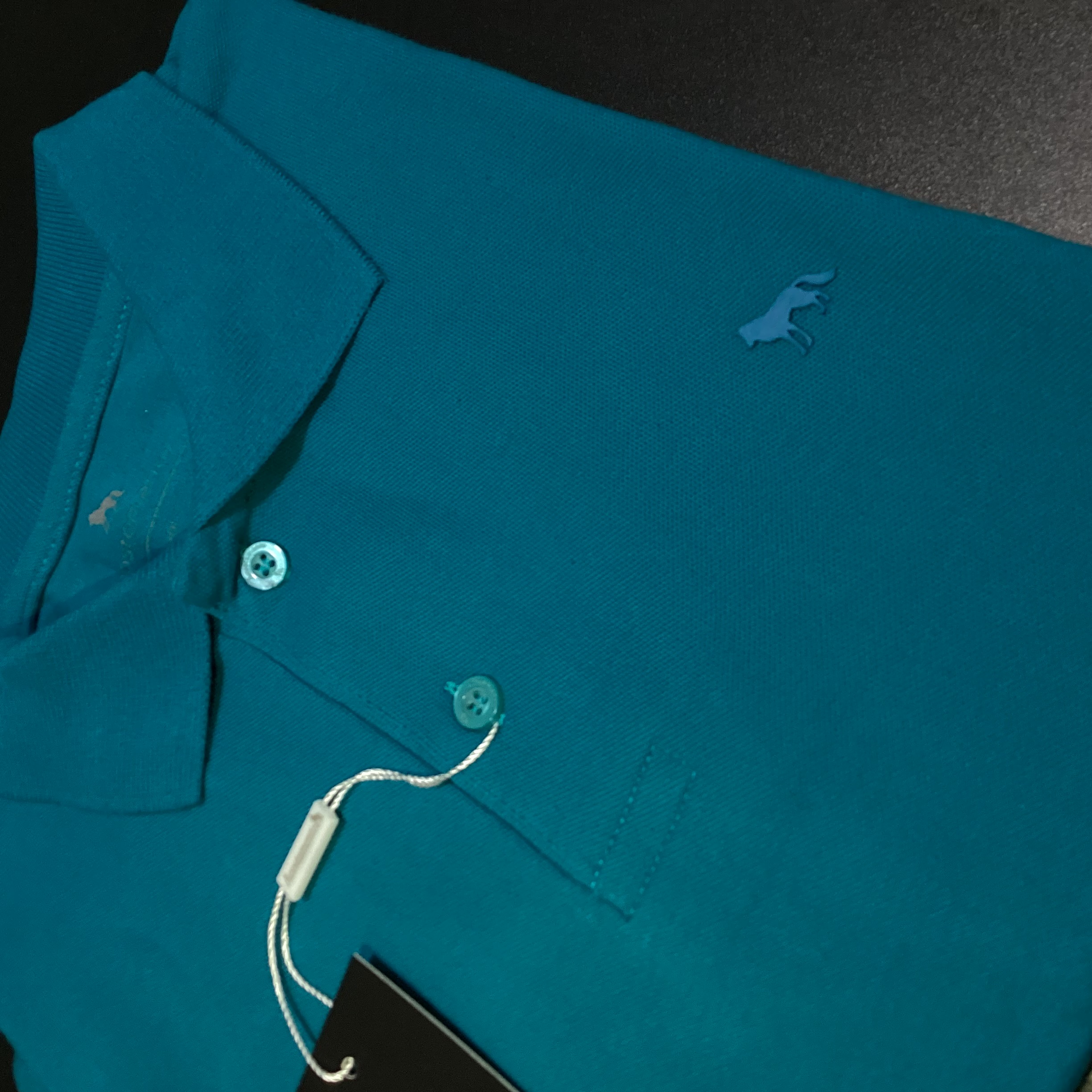 Foto 2 de CAMISA POLO ACOSTAMENTO