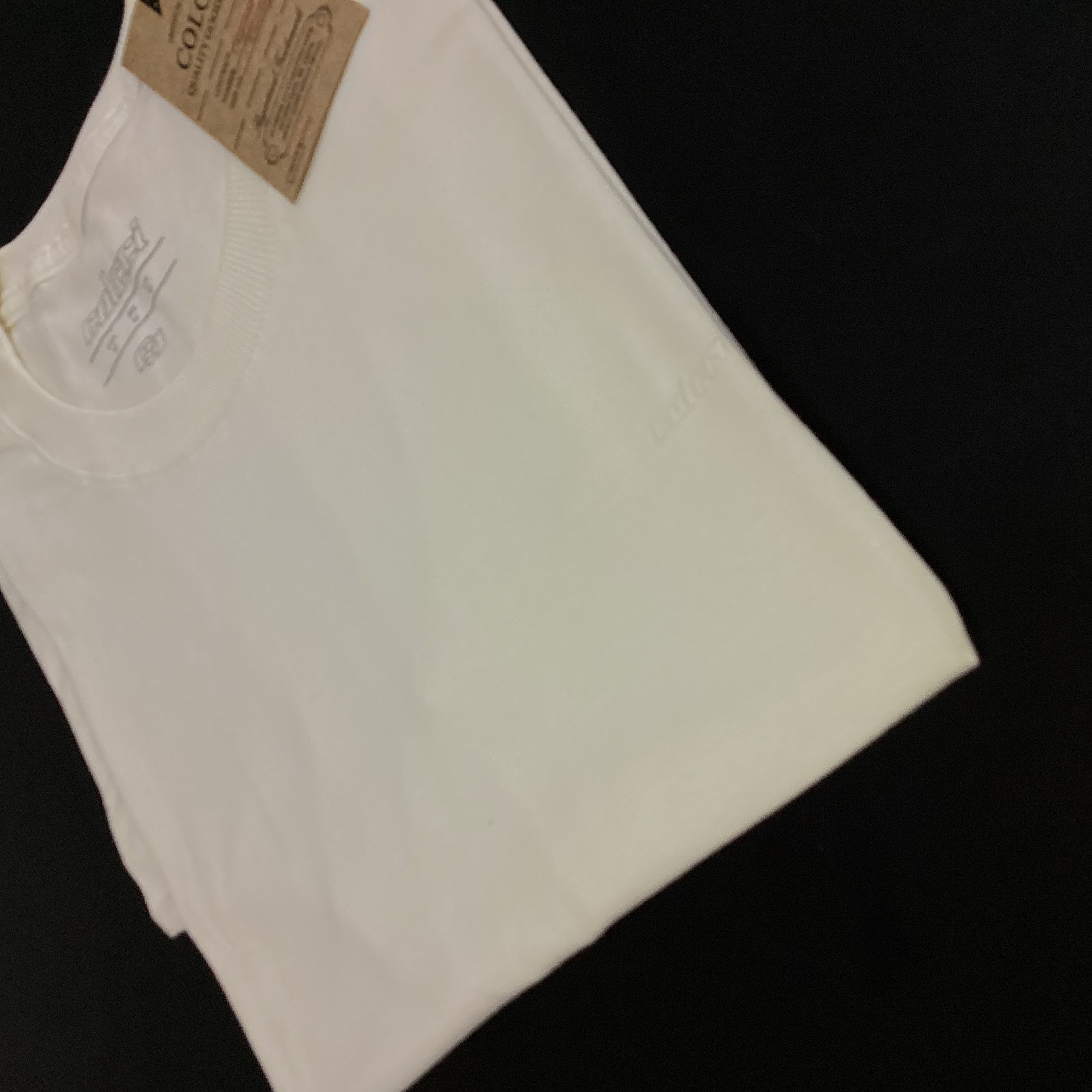 Foto 2 de CAMISA PERUANA BÁSICA COLCCI